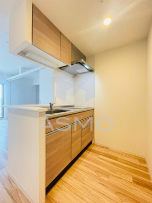 【キッチン】 | セレニテ堺筋本町プリエ | 同マンション別部屋参考写真