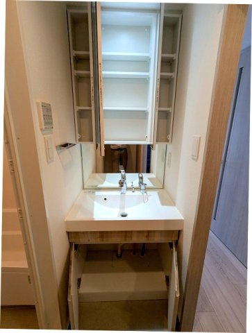 エスレジデンス浅草clarityの設備|三面鏡付、ハンドシャワー付独立洗面台です