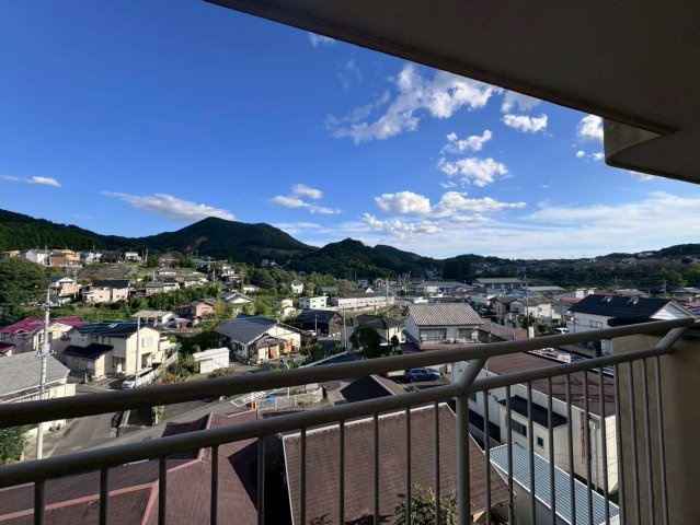 ウィッシュ・ヴィーガの展望