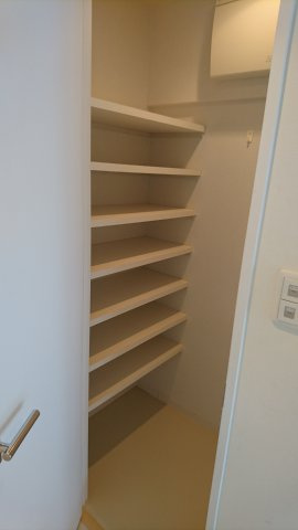 アイランドタワースカイクラブ　Ａ棟の収納