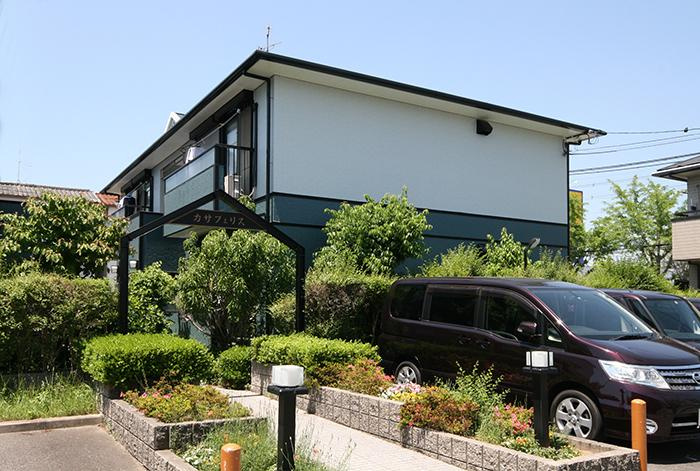 カサフェリス　Ａ