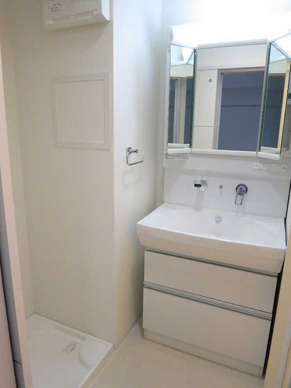 フェリースヴィダ福島の洗面所