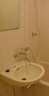 ライオンズマンション新大塚の洗面所