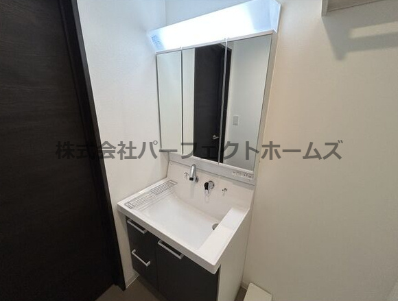 シエーナ楠葉ジェミオスの洗面所|広い洗面スペース