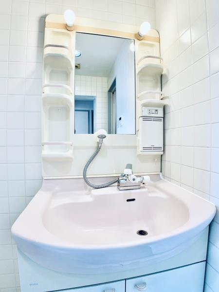 ベル富士見丘の洗面所