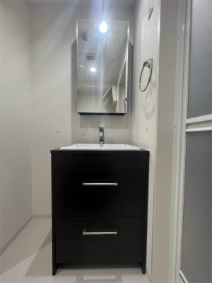 【独立洗面台】 | プラージュ煌