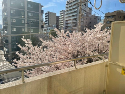 【バルコニー】 | ヴェラハイツ木場 | 開放的で明るい空間を演出してくれるバルコニーです