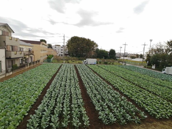 フローレンス平和台の展望