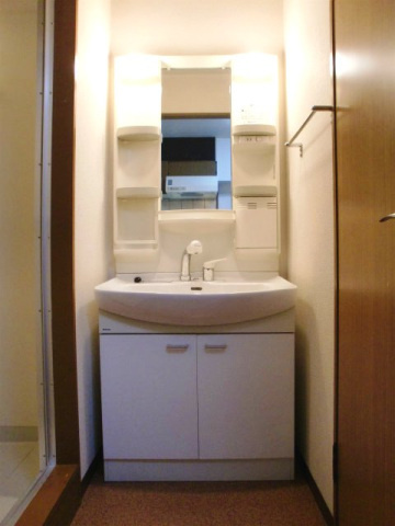 レジデンス東雲の洗面所
