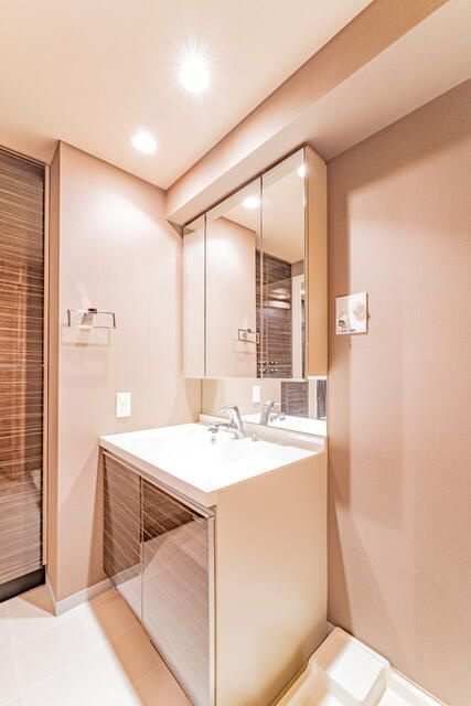 ブレシア東十条レジデンスの洗面所