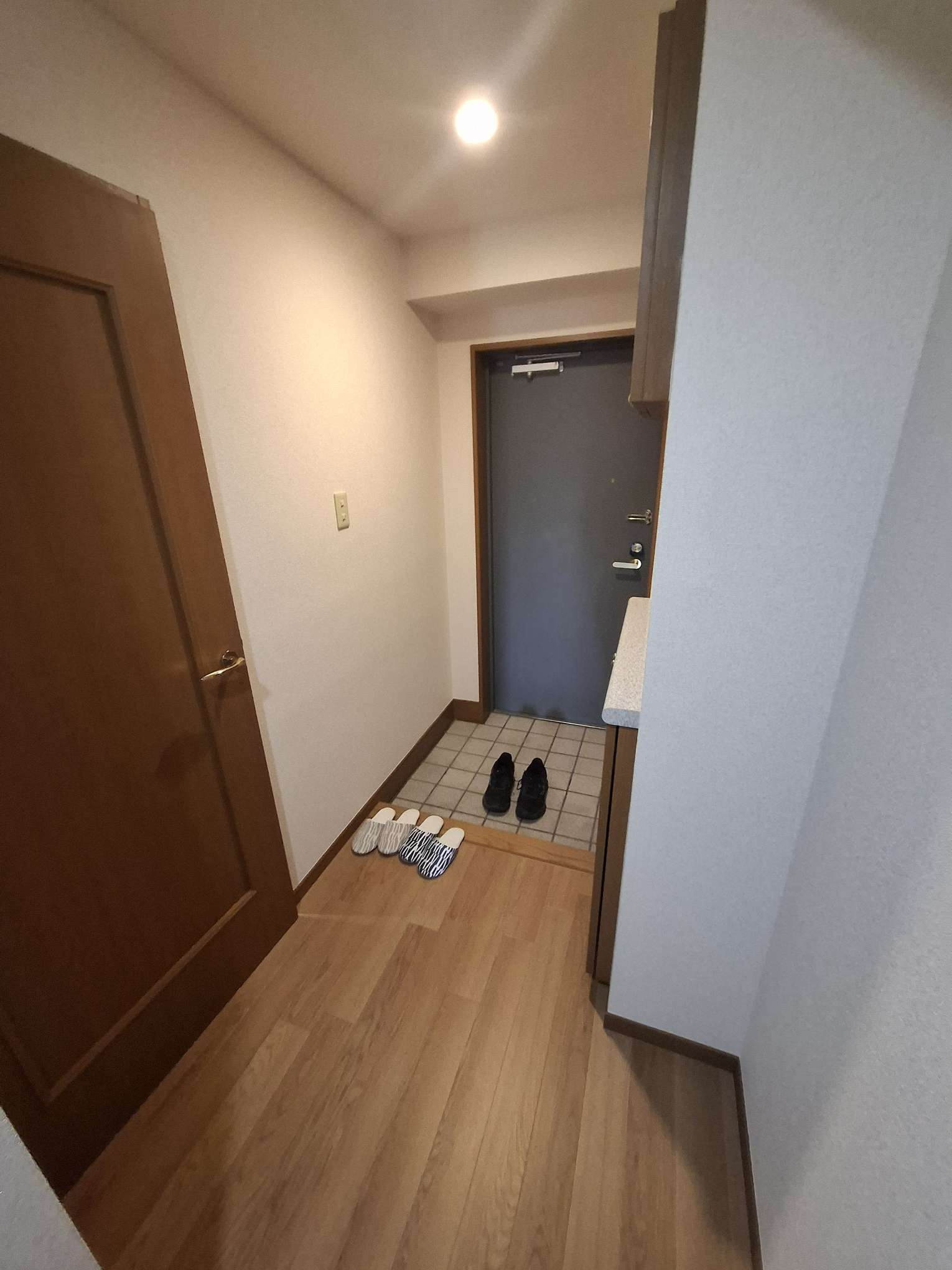 台東区松が谷４丁目の賃貸マンション