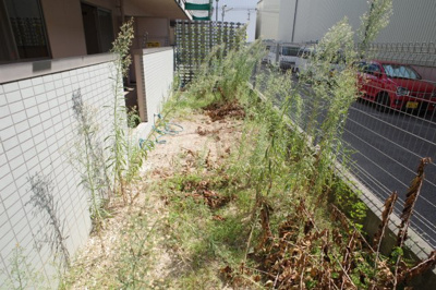 【庭】 | グランビヤンフェ | 専用庭