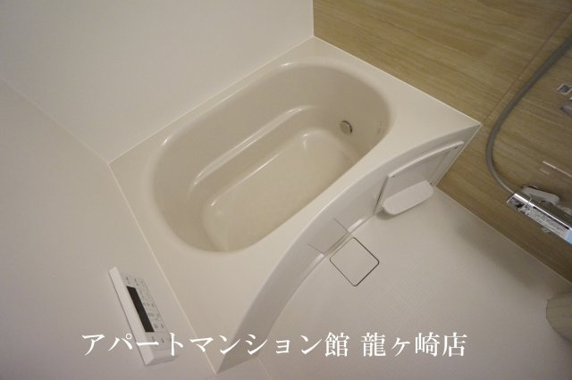 Front du lacの浴室