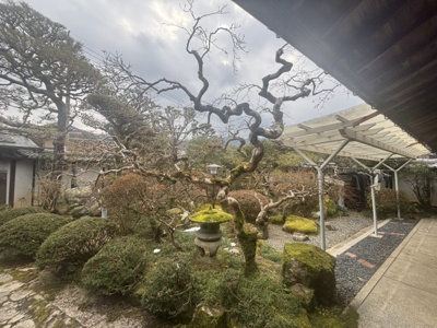 【庭】 | 丹波篠山市味間北　戸建て