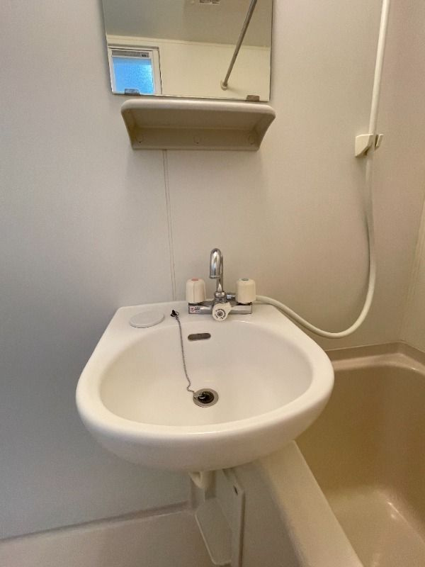 ネクサス押上の洗面所