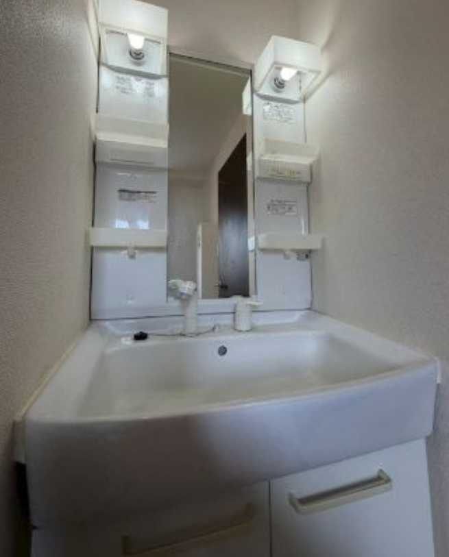 花伝テラス　駐車場付き　陽当たり良好　ルーフバルコニー　の洗面所