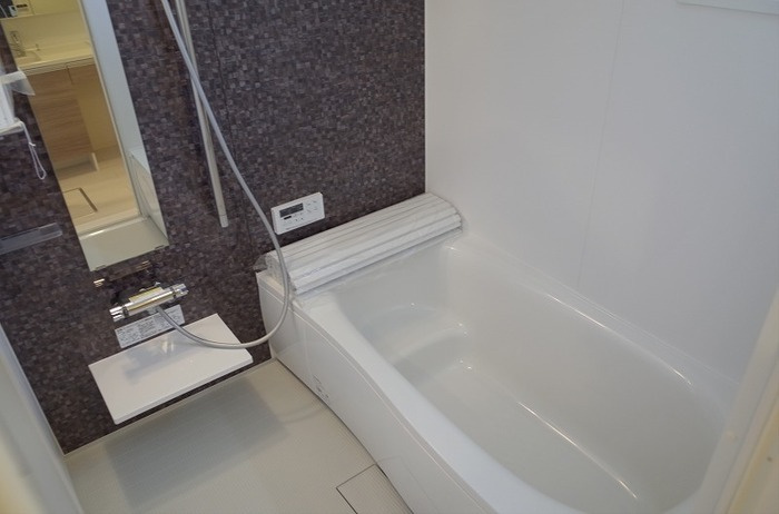 ラピス矢作の浴室