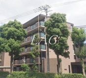 サンピエス江古田の画像