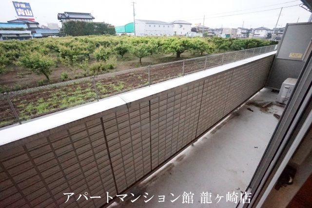 D-room住吉のバルコニー