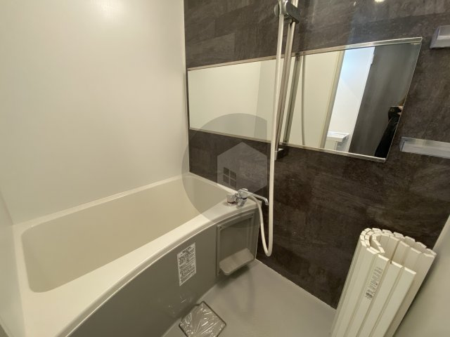 アレグリア河内小阪の浴室