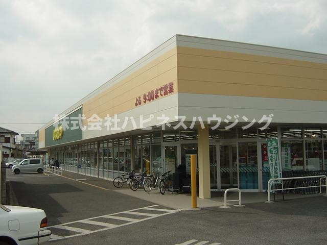 リリー・オブ・ザ・バレーの周辺|スーパー　いなげやまで600ｍ