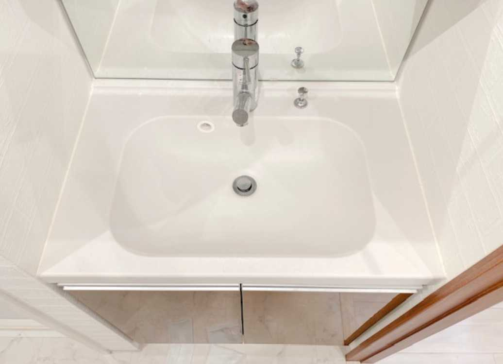 アーバンプレミア池尻大橋　ペット相談　駅近　礼金０の洗面所