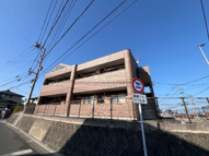 ハイグレイスの画像