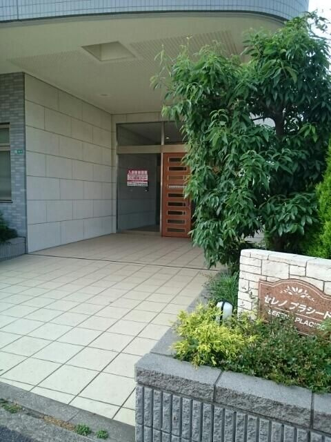 セレノ　プラシードのエントランス