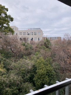 さんくれーる茨木 A棟の展望|和室からの眺望