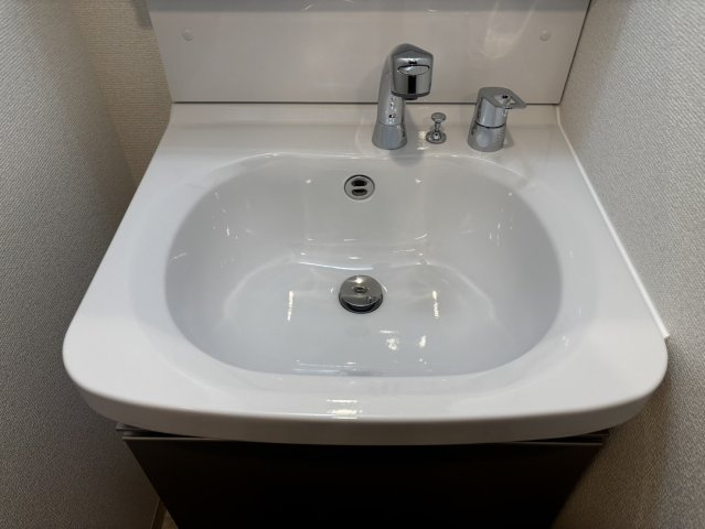 エステムコート新大阪X VIパルスの洗面所