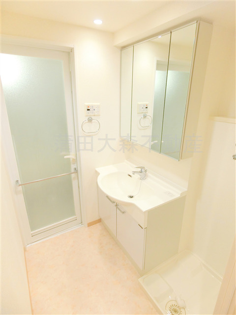 レジデンス新蒲田スクエアの洗面所