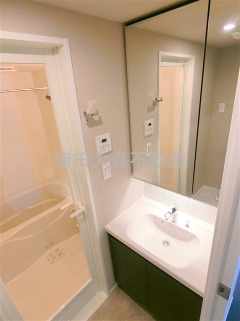 The Aigrette Minami-Kamataの洗面所|独立洗面台