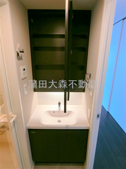 The Aigrette Minami-Kamataの洗面所