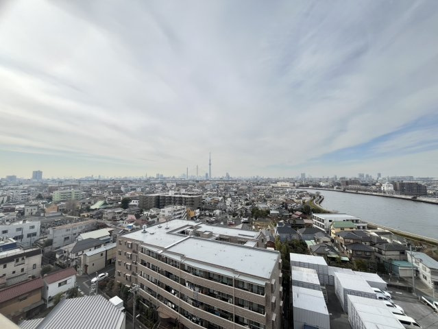 グランデュール新小岩の展望|お部屋からスカイツリーが見えます！