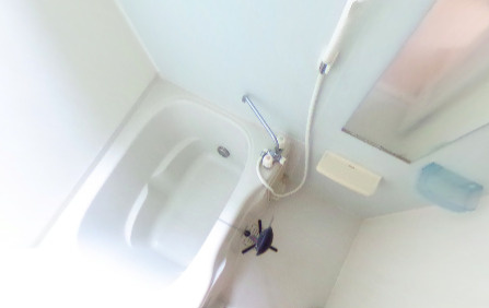 スターリング　ハイツの浴室