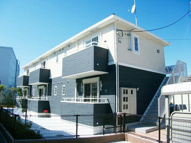 グランデ　ピーヌスの画像