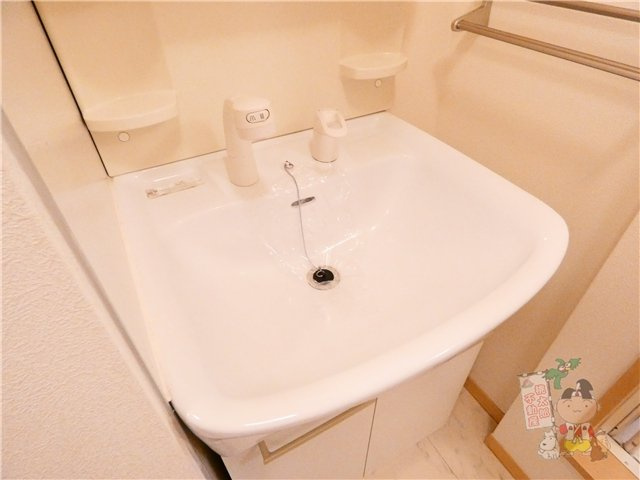 シャーメゾン学南町の洗面所