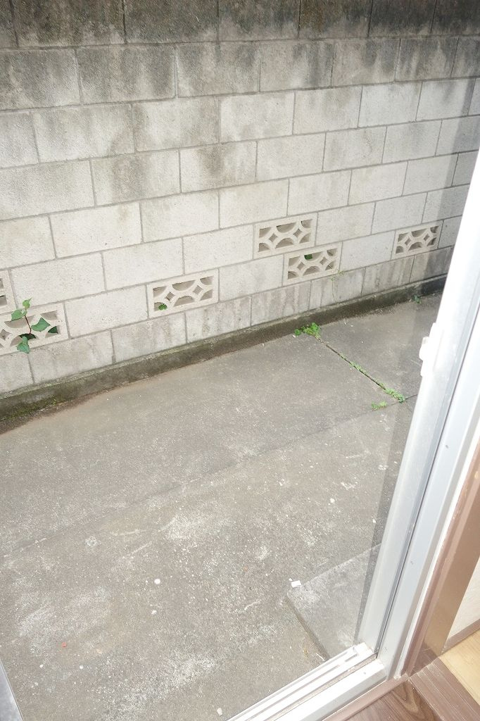 橋本コーポの庭