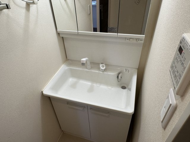 メゾン文園の洗面所