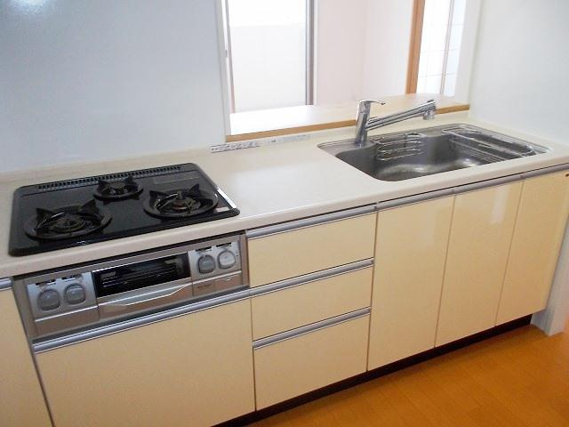 レヴィールヒルズ入間リバービューのキッチン