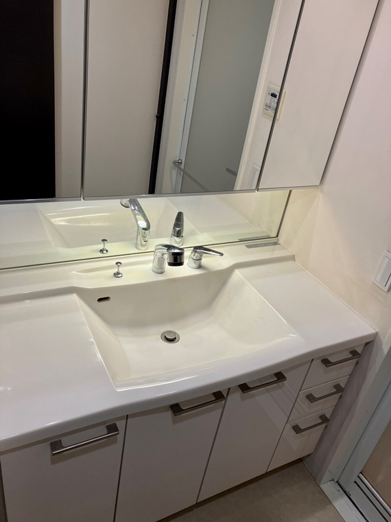 プラウド練馬春日町トレアージュの洗面所