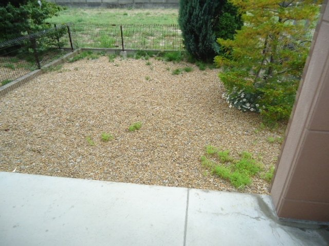 プロニティＦｕｊｉｍｉのその他|専用庭