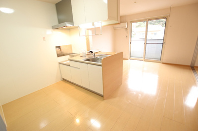 エアコン、室内物干し付きのＬＤＫ１２帖