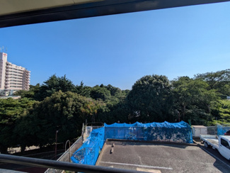 景色