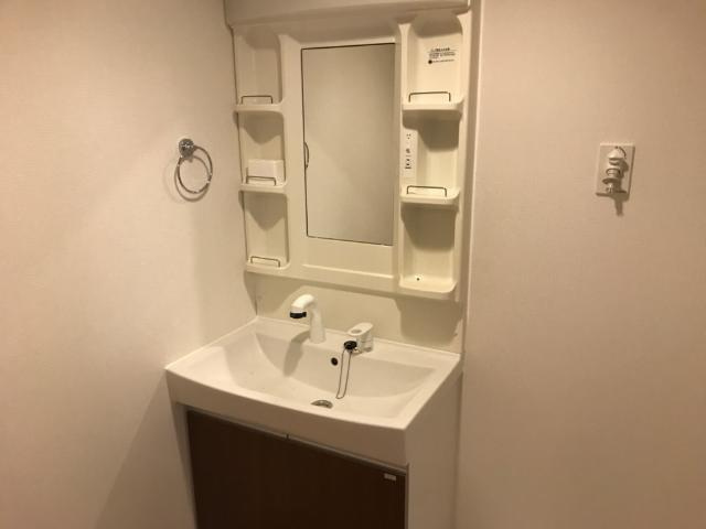 エクセールハウス大泉の洗面所|洗面