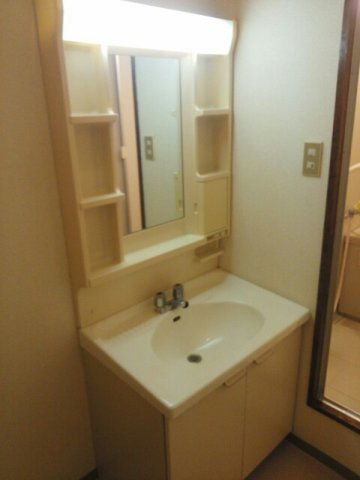 メゾングリーン３５６の洗面所