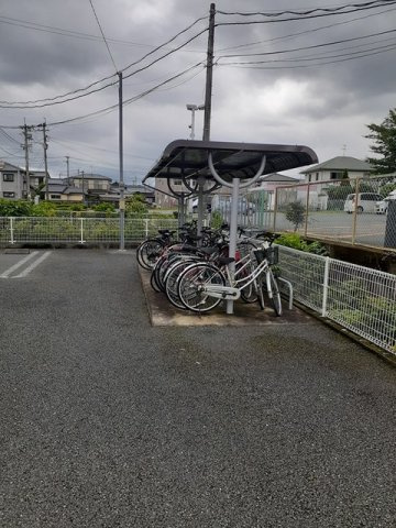 エヴァーグリーン・センターのその他