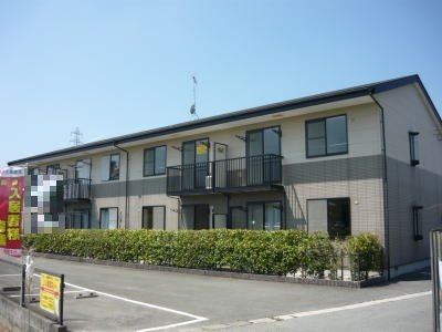 グレイスドリーム