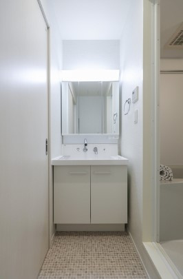 メゾン・ド・プティの洗面所