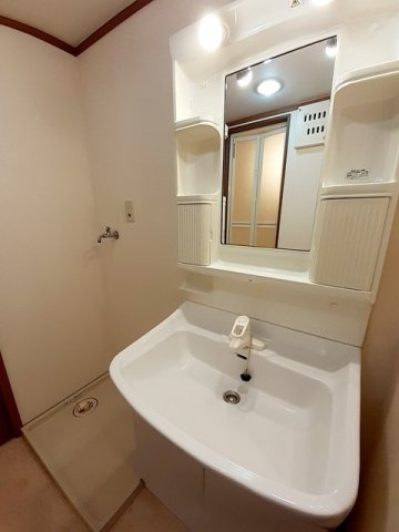 ビレッジコートⅡの洗面所